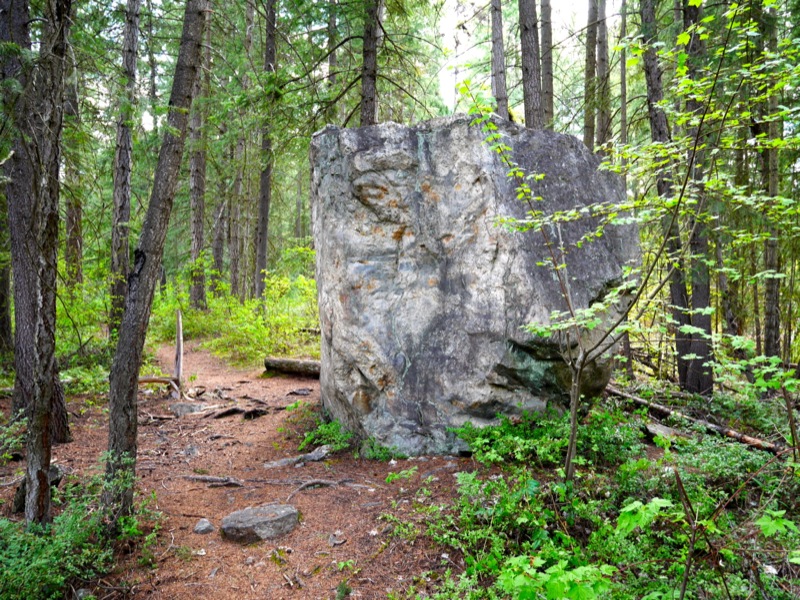 The trail-side boulder that marks where to turn right to access the cliff.